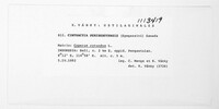 Image Associated With the Occurrence